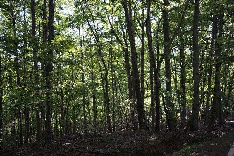 1150 Swallow Point Big Canoe, GA 30143 - Photo 11 of 26