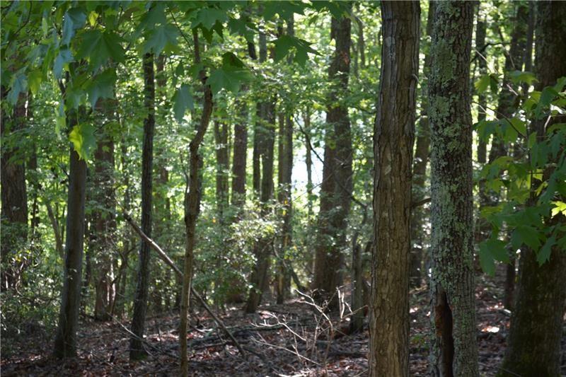 1150 Swallow Point Big Canoe, GA 30143 - Photo 12 of 26 a view of forest