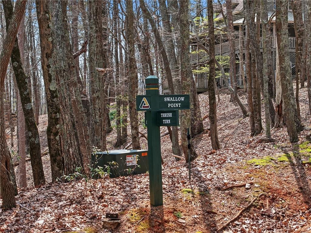 1150 Swallow Point Big Canoe, GA 30143 - Photo 13 of 26