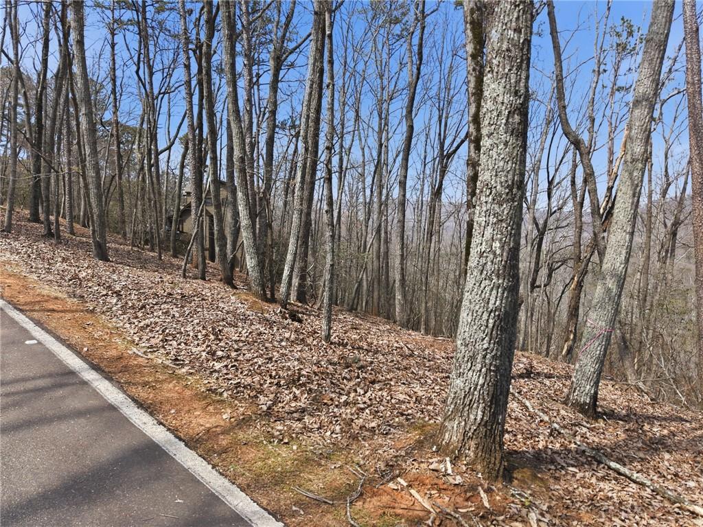 1150 Swallow Point Big Canoe, GA 30143 - Photo 14 of 26