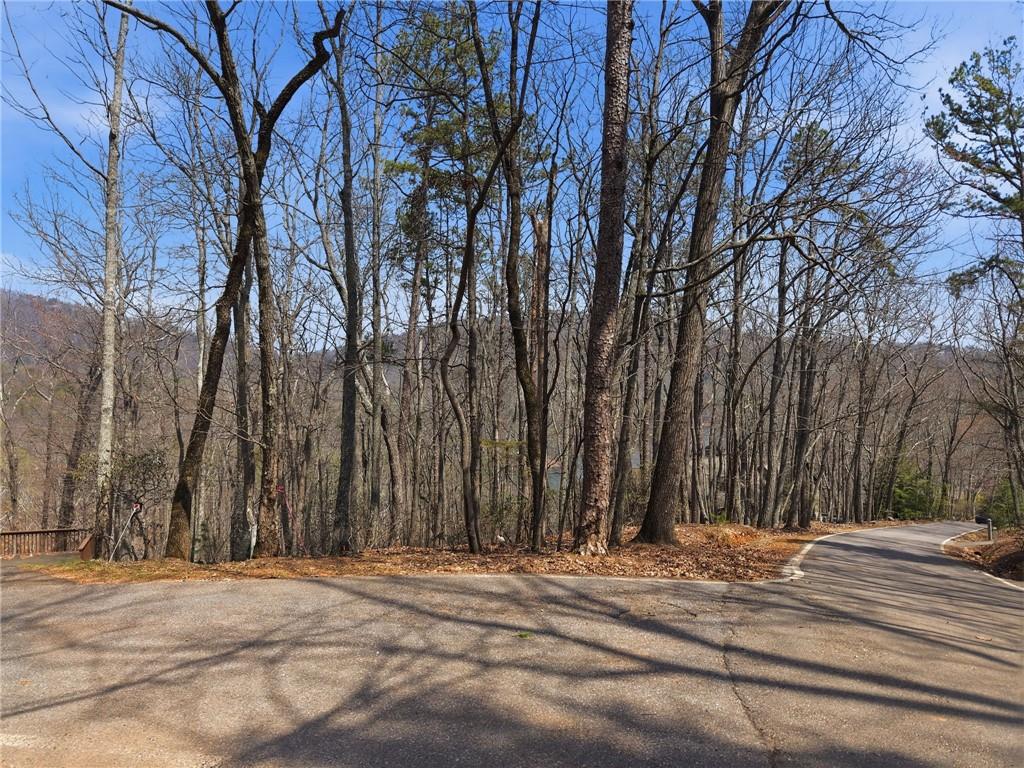 1150 Swallow Point Big Canoe, GA 30143 - Photo 15 of 26