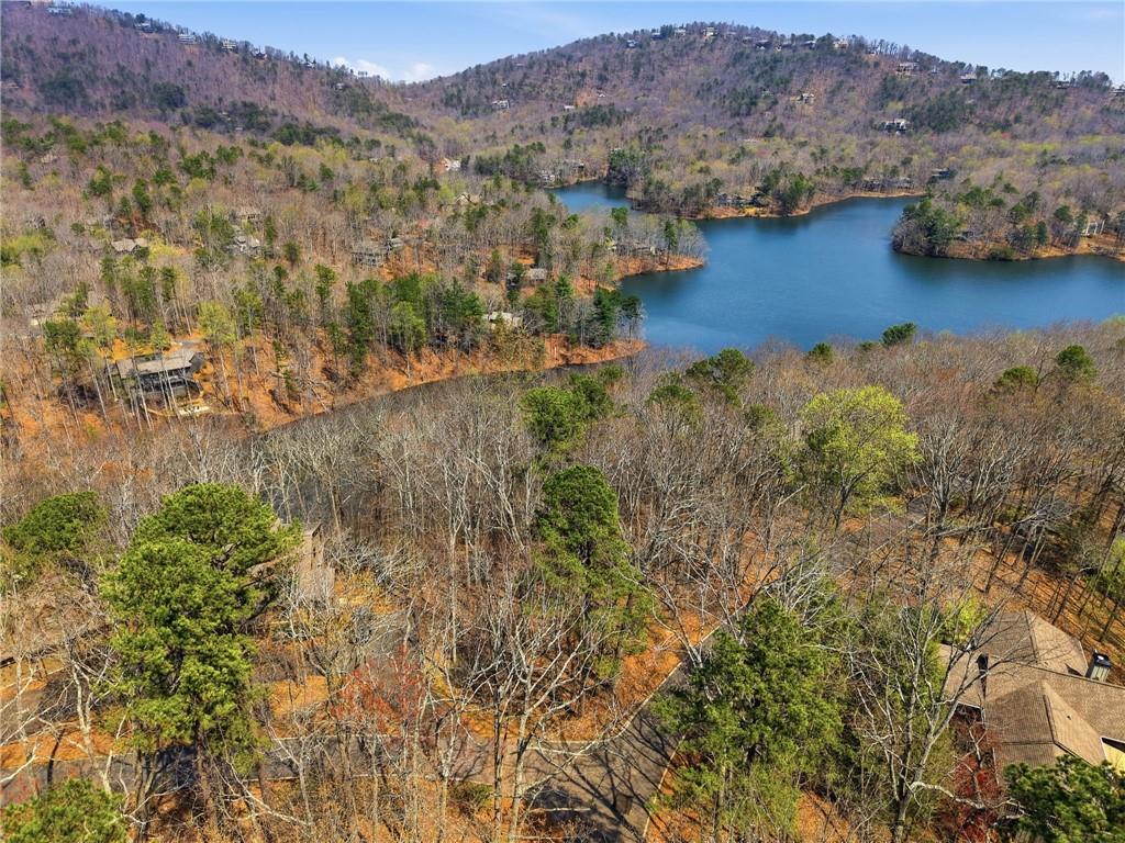 1150 Swallow Point Big Canoe, GA 30143 - Photo 16 of 26