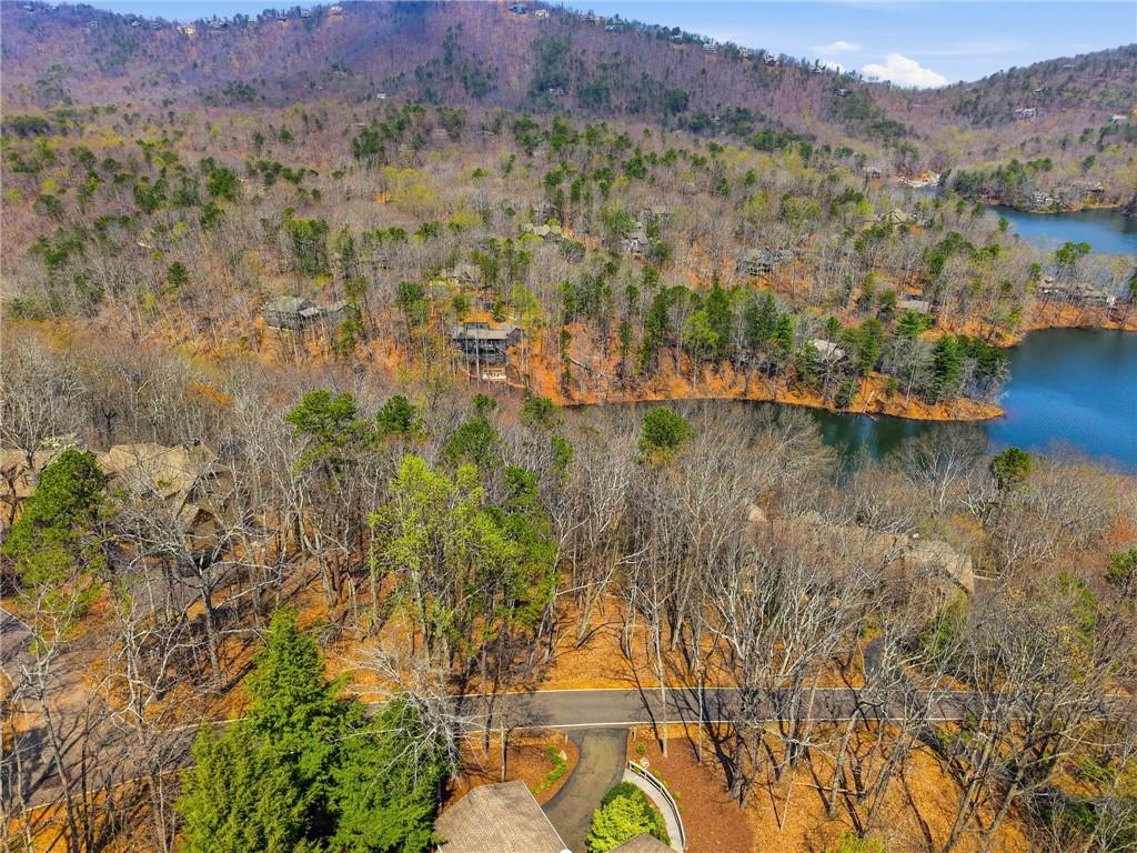 1150 Swallow Point Big Canoe, GA 30143 - Photo 17 of 26