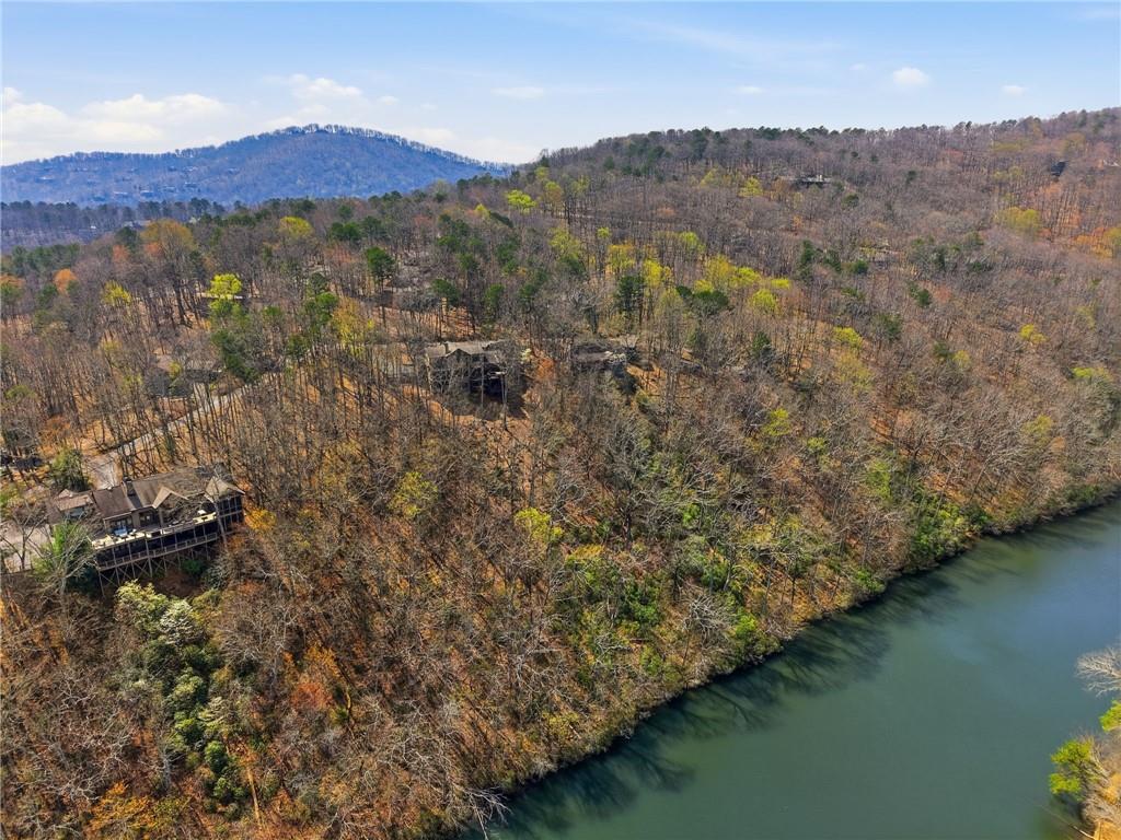 1150 Swallow Point Big Canoe, GA 30143 - Photo 20 of 26