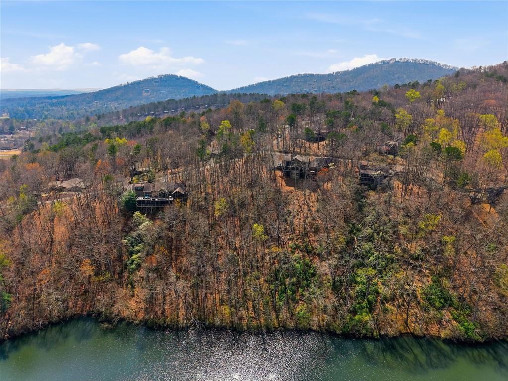 1150 Swallow Point Big Canoe, GA 30143 - Photo 21 of 26