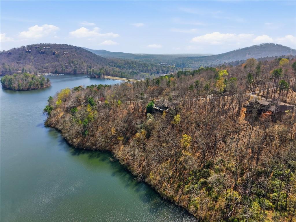 1150 Swallow Point Big Canoe, GA 30143 - Photo 22 of 26