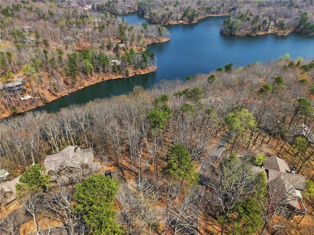 1150 Swallow Point Big Canoe, GA 30143 - Photo 25 of 26