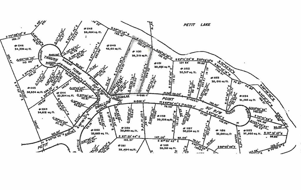 1150 Swallow Point Big Canoe, GA 30143 - Photo 3 of 26 a picture of a tree