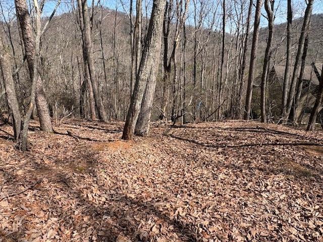 1150 Swallow Point Big Canoe, GA 30143 - Photo 6 of 26 a view of a backyard with large trees