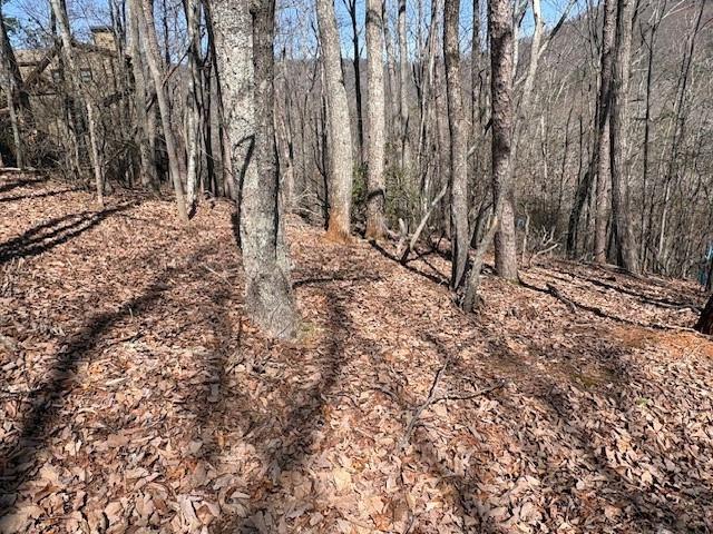1150 Swallow Point Big Canoe, GA 30143 - Photo 7 of 26 a view of a yard with trees