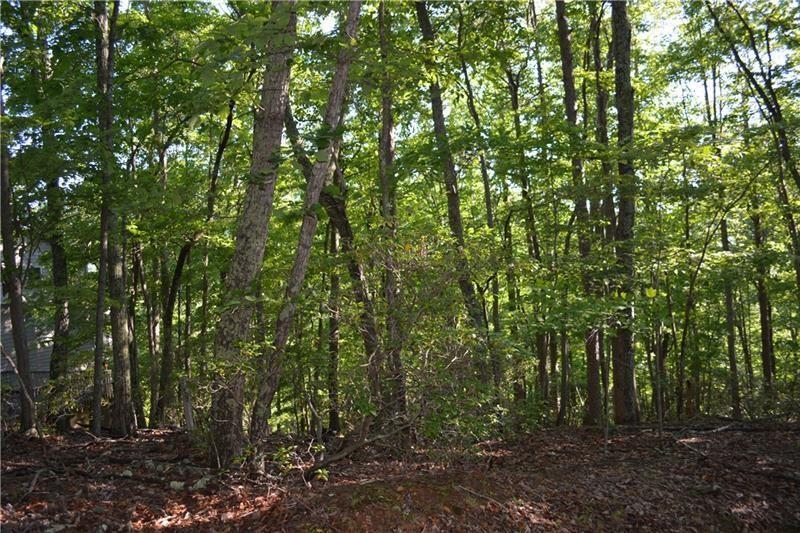 1150 Swallow Point Big Canoe, GA 30143 - Photo 10 of 26 a view of outdoor space and green space