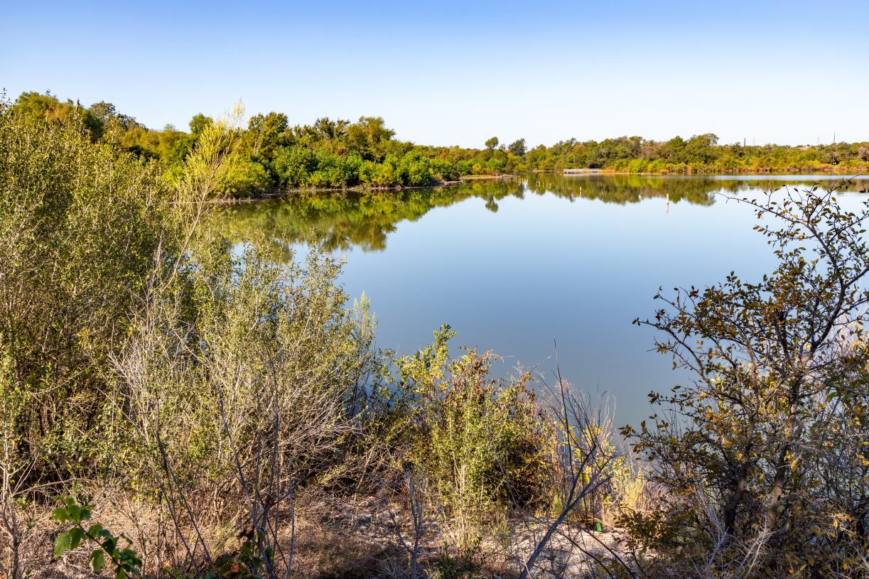 518 Alderney Road Cedar Park, TX 78613 - Photo 8 of 12