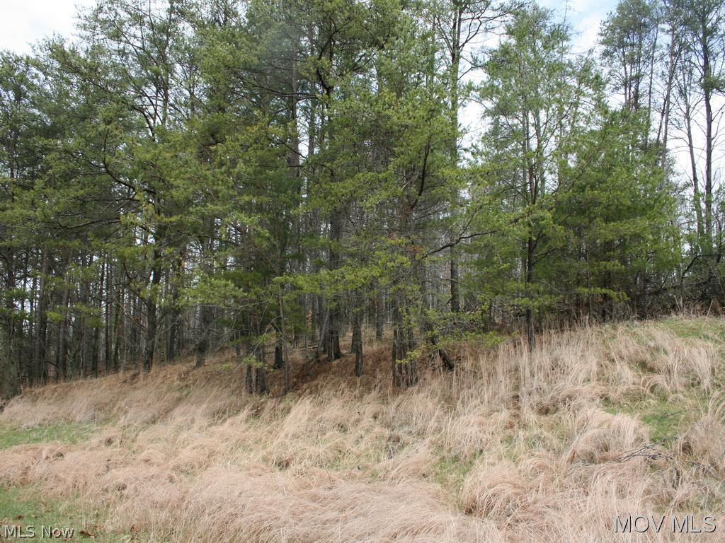 42 Munday Road Elizabeth, WV 26143 - Photo 12 of 18