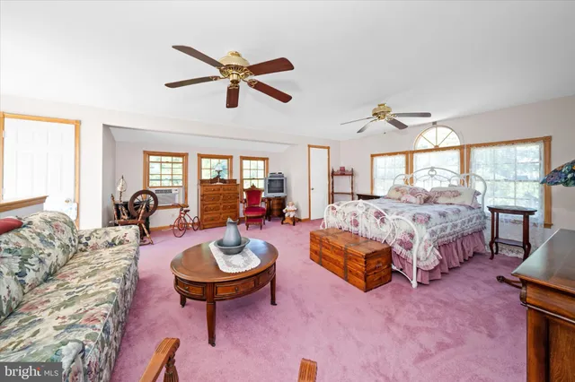 a bed room with a bed and a couch