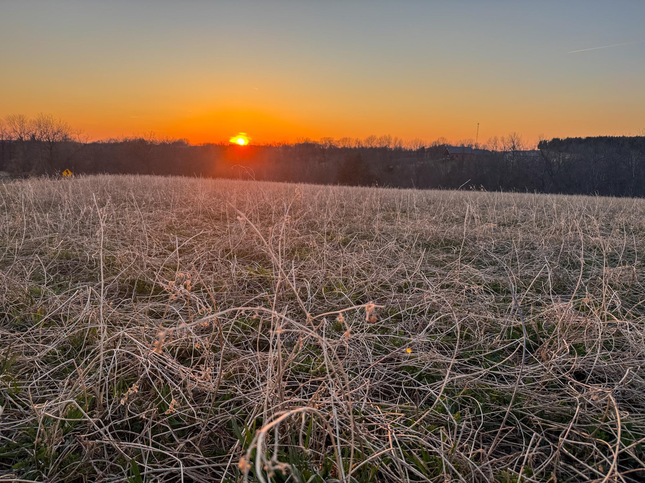 Tbd Stewart Road Stockholm, WI 54769 - Photo 13 of 16
