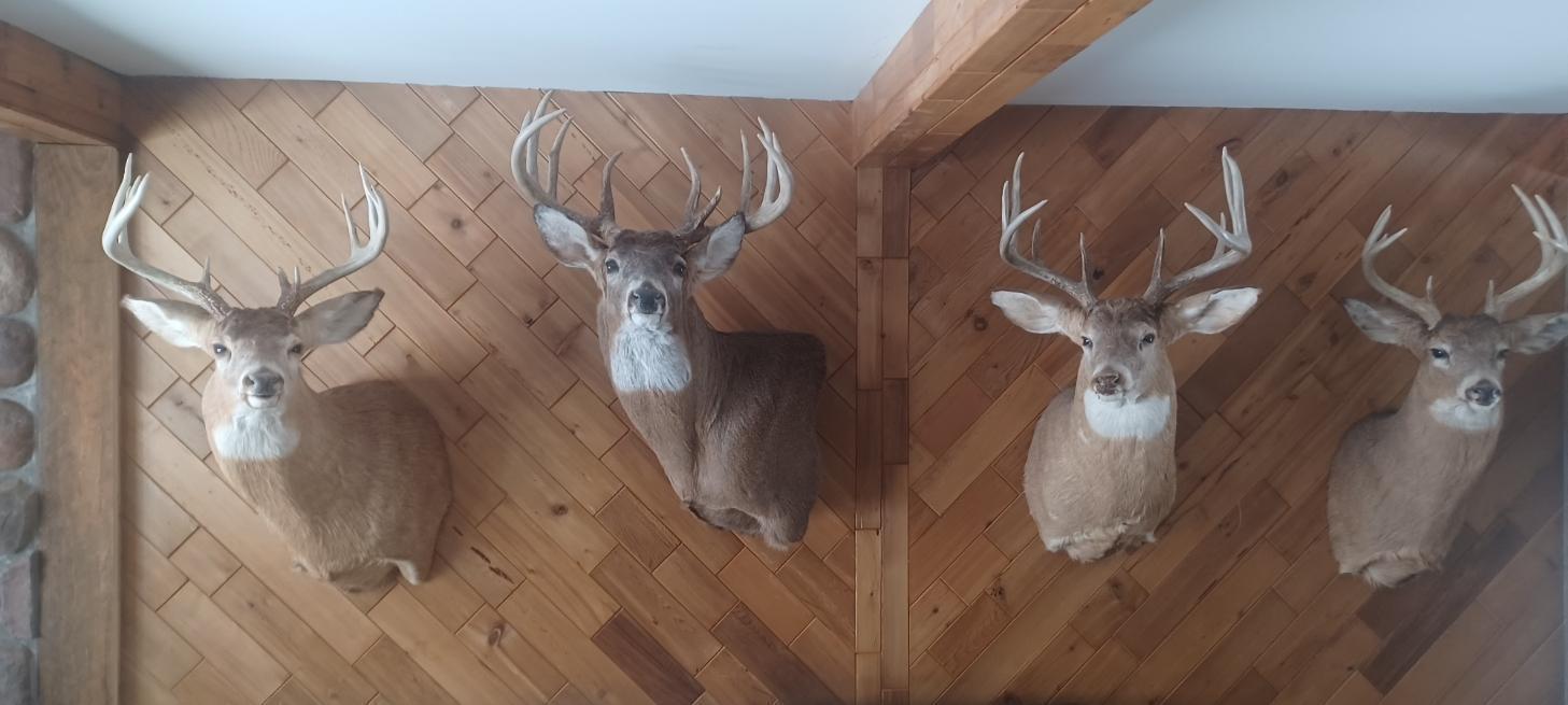 Tbd Stewart Road Stockholm, WI 54769 - Photo 15 of 16