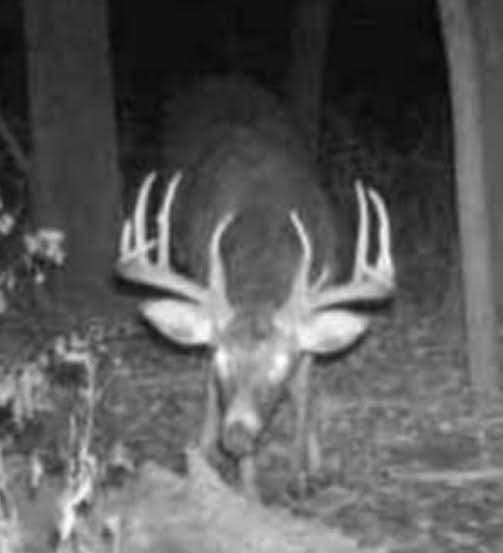 Tbd Stewart Road Stockholm, WI 54769 - Photo 16 of 16