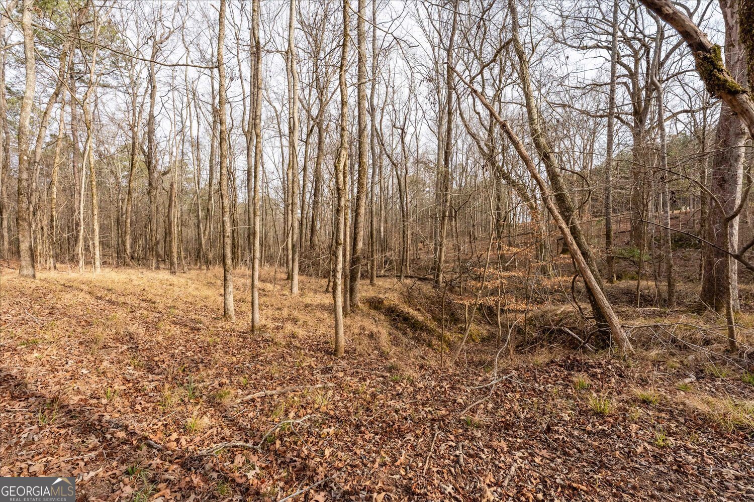 0 Winding Ridge Drive Tignall, GA 30668 - Photo 8 of 19