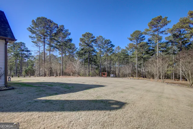 $675,000 | 65 Fox Hall Crossing West, Senoia, GA 30276