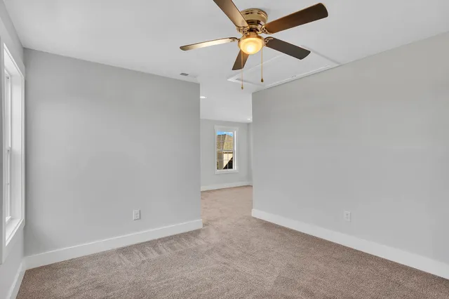 a view of a yard with plants next to a yard