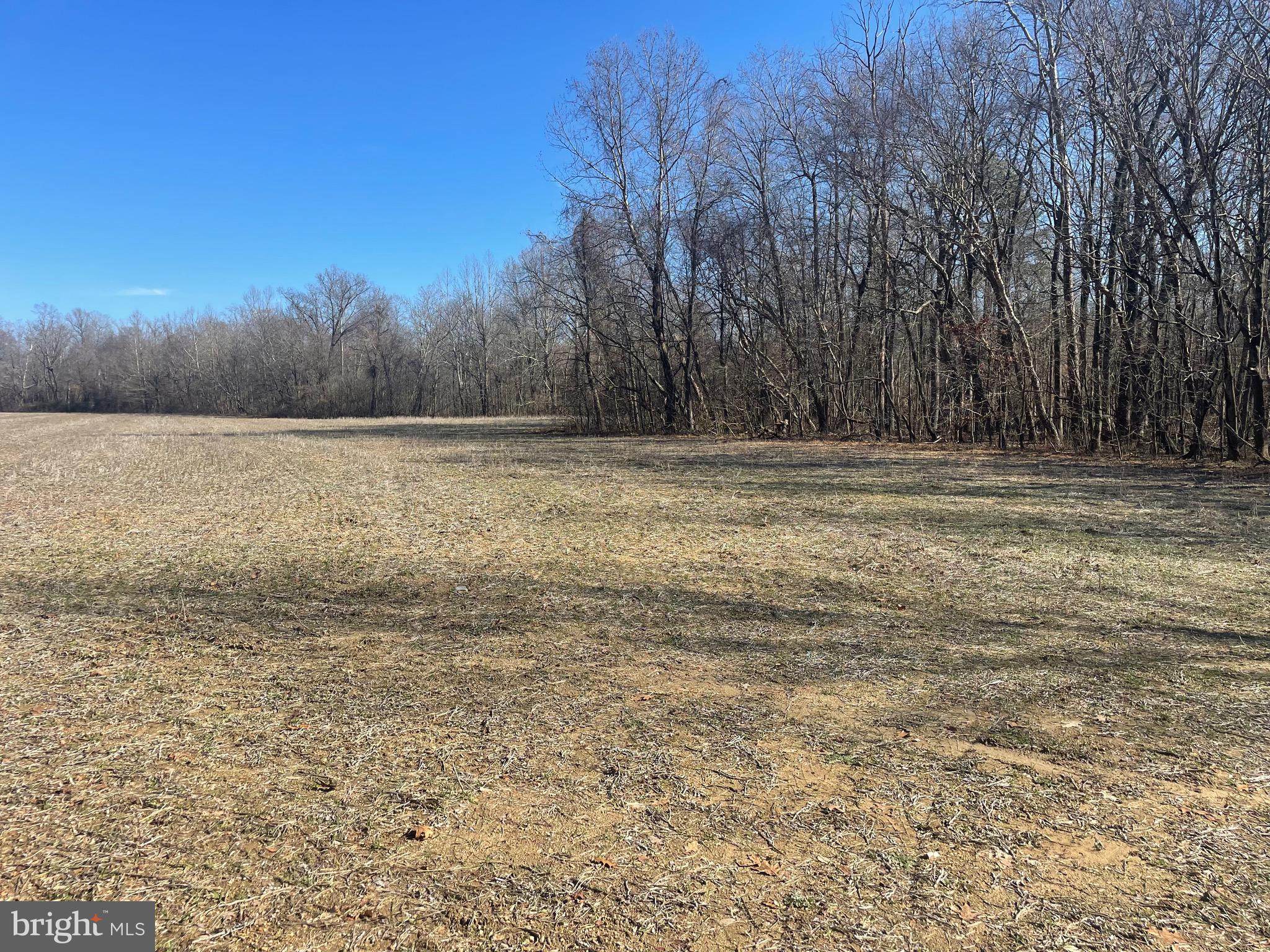 Mechanicsville Road Chaptico, MD 20621 - Photo 2 of 3 a view of a yard