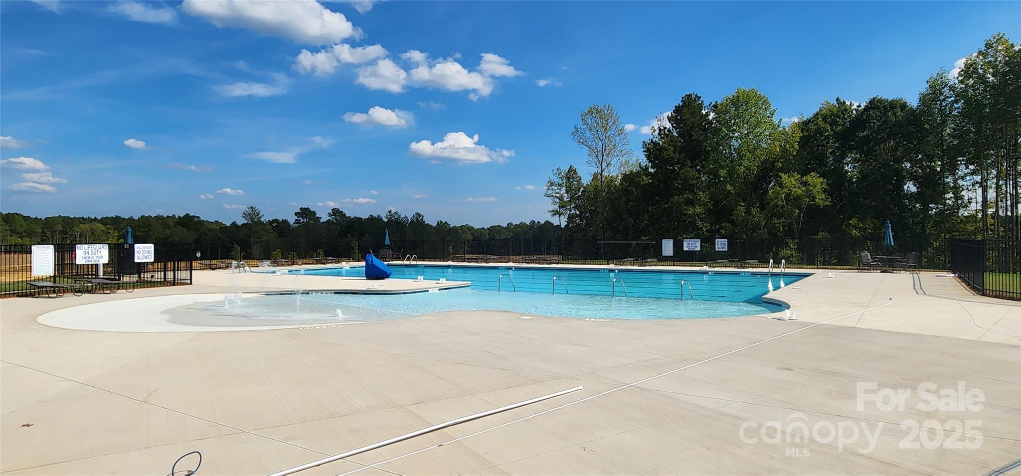 734 Sirius Lane York, SC 29745 - Photo 15 of 23 a view of swimming pool with trees in the background