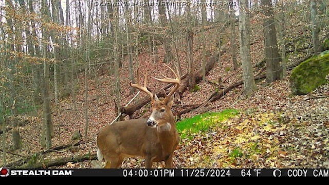 2873 Oak Hill Ridge Road Bomont, WV 25030 - Photo 43 of 44 Gallery Image 43