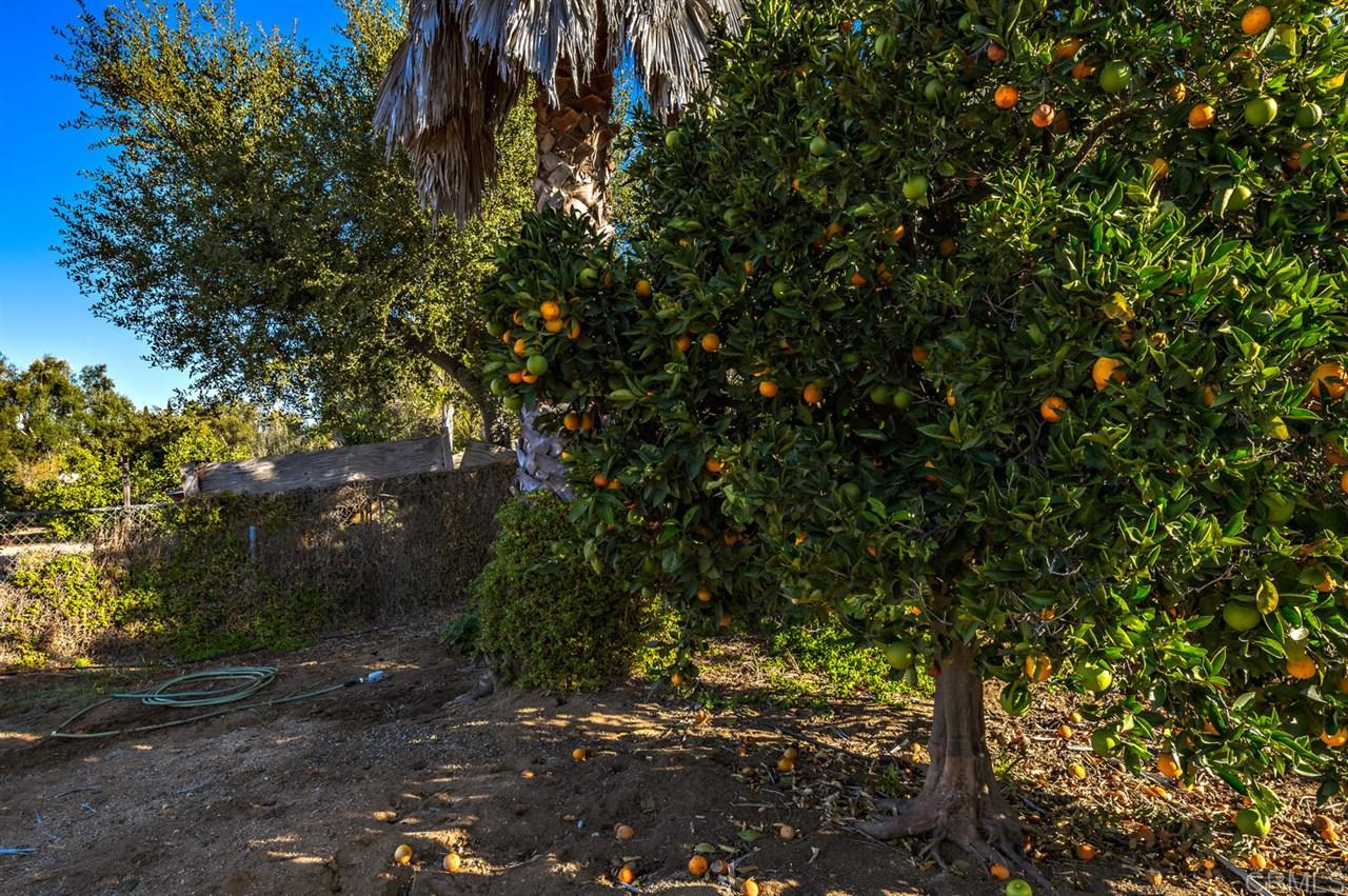 1420 Los Conejos Road Fallbrook, CA 92028 - Photo 20 of 24 Gallery Image 20