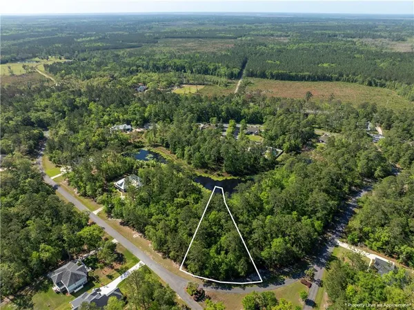 $35,000 | 0 Sanderling Trace, Waverly, GA 31565