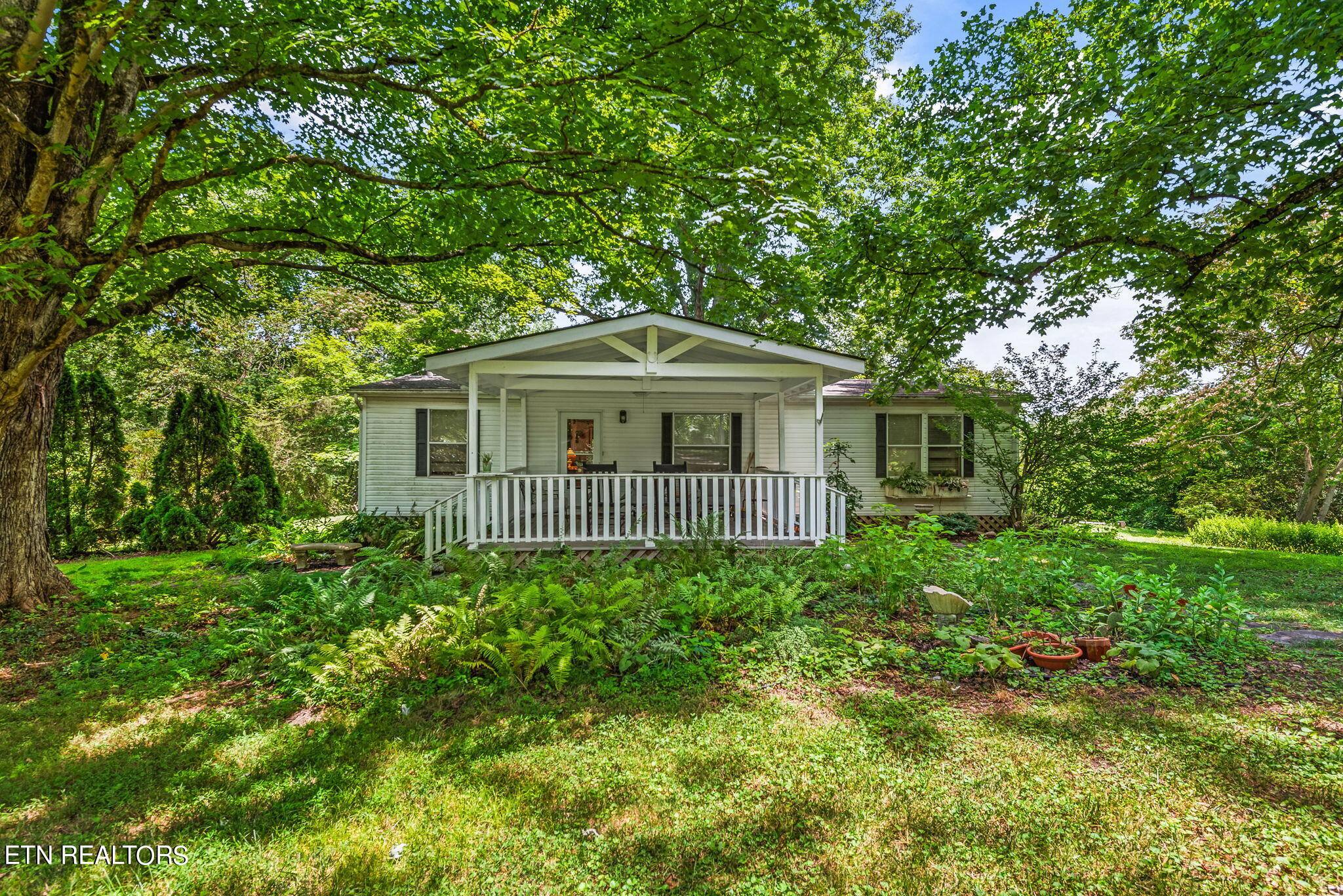 7418 Old Tuckaleechee Road Townsend, TN 37882 - Photo 1 of 43 1-web-or-mls-OldTcklch7418 (3)