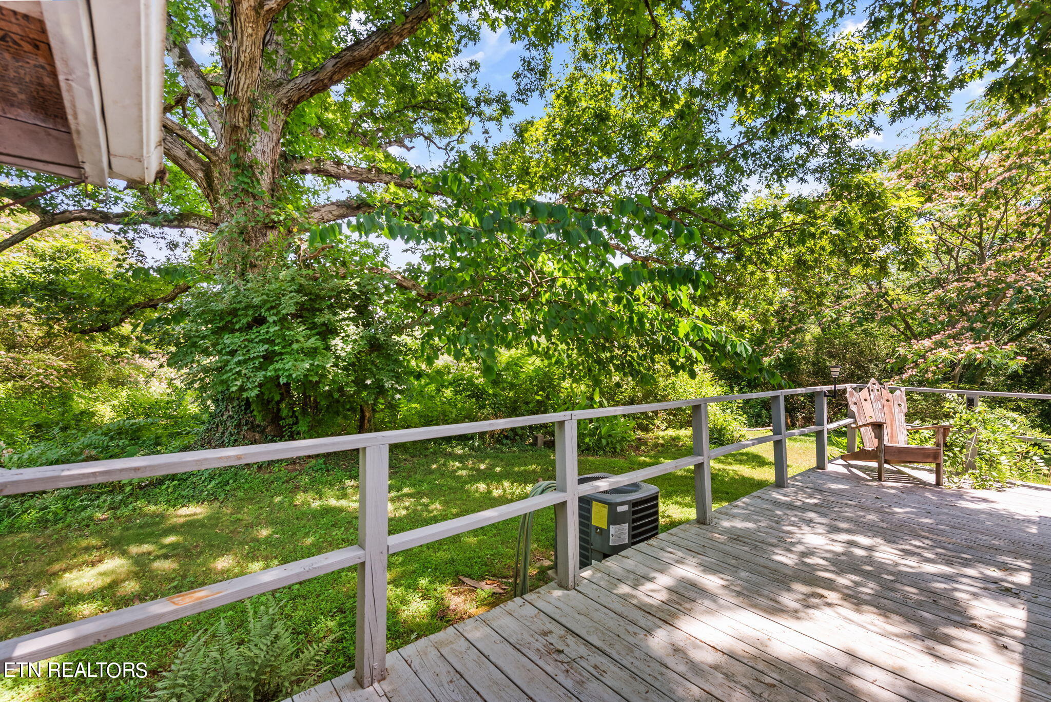 7418 Old Tuckaleechee Road Townsend, TN 37882 - Photo 28 of 43 30-web-or-mls-OldTcklch7418 (69)