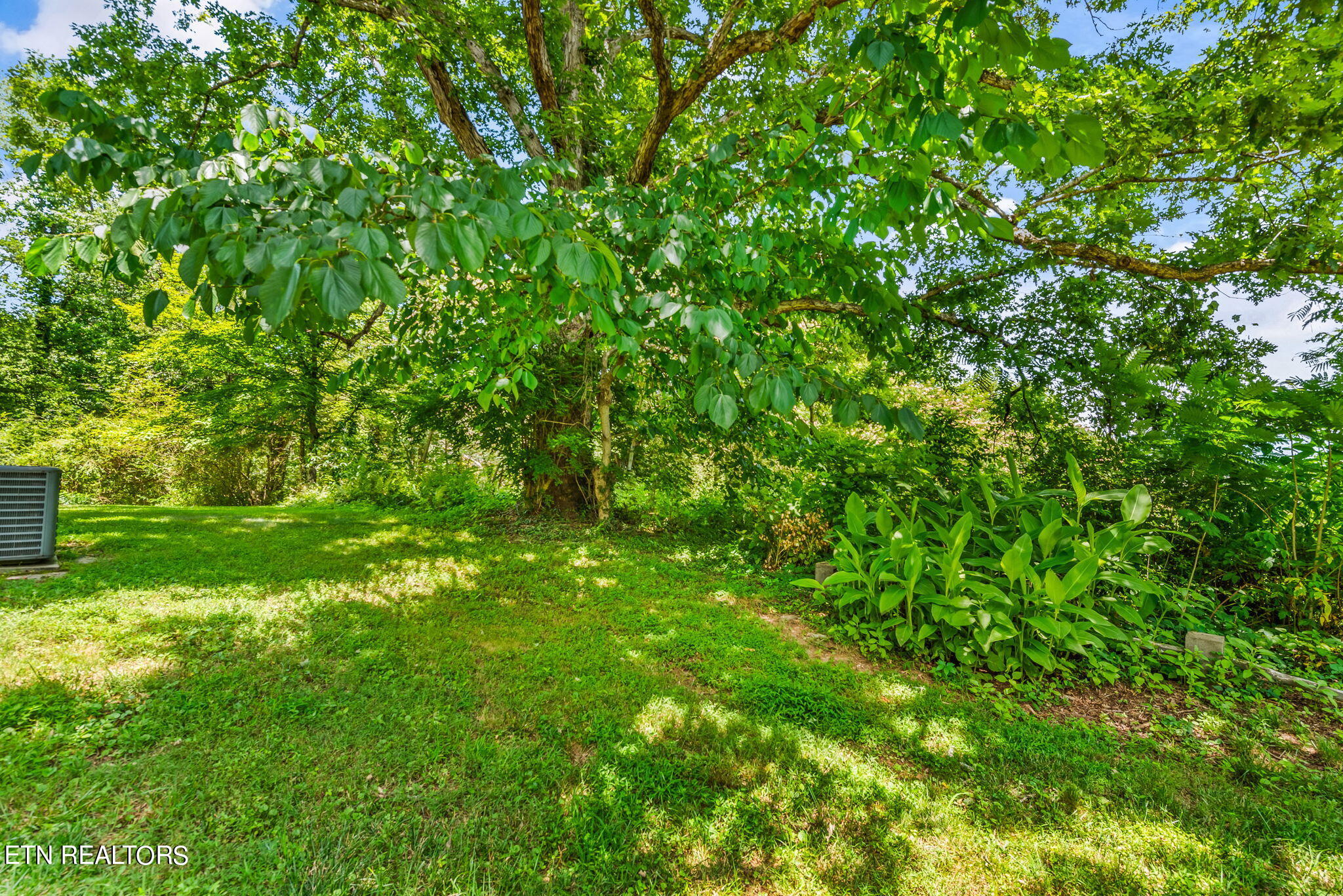 7418 Old Tuckaleechee Road Townsend, TN 37882 - Photo 31 of 43 34-web-or-mls-OldTcklch7418 (78)