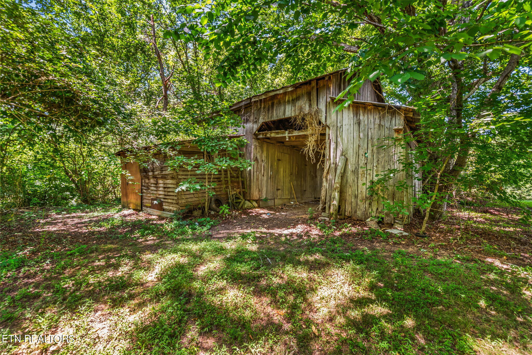 7418 Old Tuckaleechee Road Townsend, TN 37882 - Photo 35 of 43 7-web-or-mls-OldTcklch7418 (108)