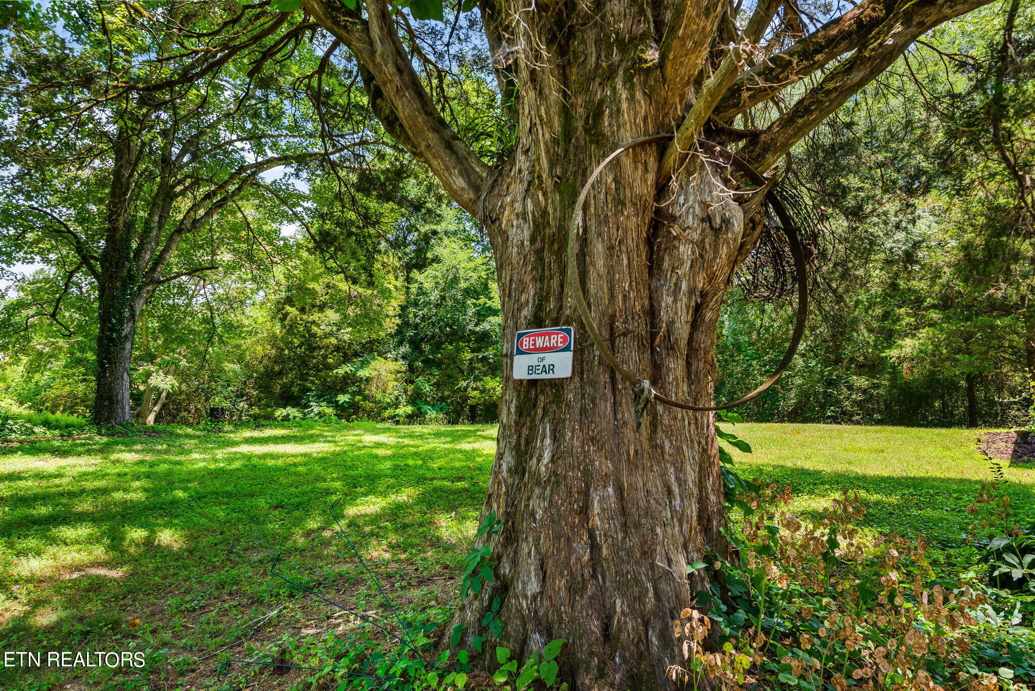 7418 Old Tuckaleechee Road Townsend, TN 37882 - Photo 42 of 43 9-web-or-mls-OldTcklch7418 (126)