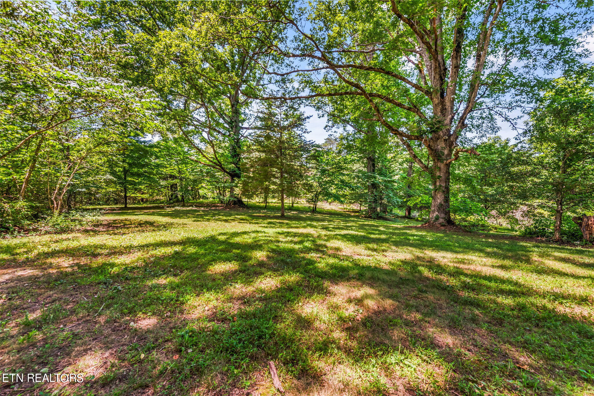 7418 Old Tuckaleechee Road Townsend, TN 37882 - Photo 6 of 43 8-web-or-mls-OldTcklch7418 (111)