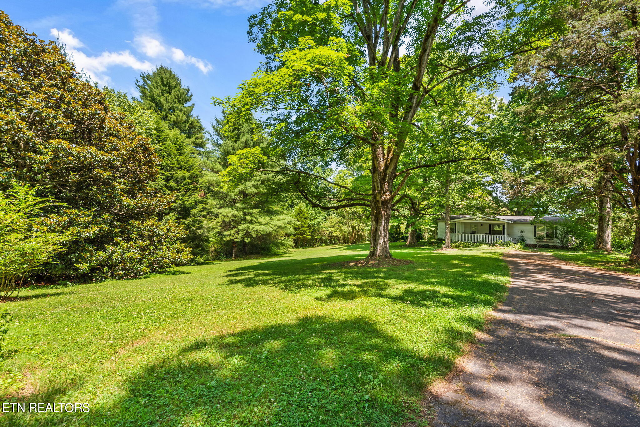 7418 Old Tuckaleechee Road Townsend, TN 37882 - Photo 7 of 43 10-web-or-mls-OldTcklch7418 (114)