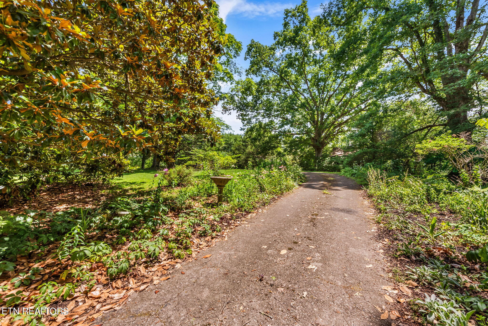 7418 Old Tuckaleechee Road Townsend, TN 37882 - Photo 8 of 43 11-web-or-mls-OldTcklch7418 (120)