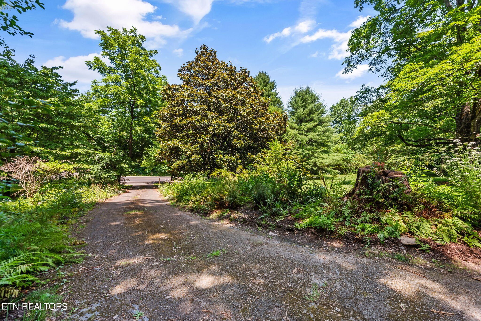 7418 Old Tuckaleechee Road Townsend, TN 37882 - Photo 9 of 43 12-web-or-mls-OldTcklch7418 (123)