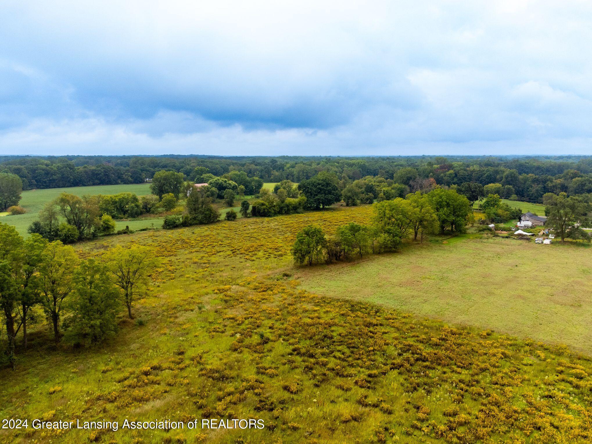 3630 Milner Road Stockbridge, MI 49285 - Photo 16 of 23 Aerial