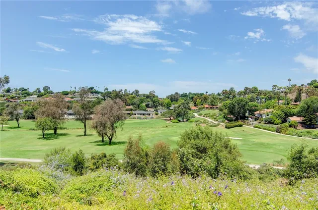 a view of a garden with large trees