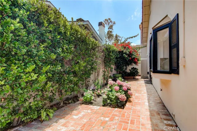 a view of a backyard with potted plants