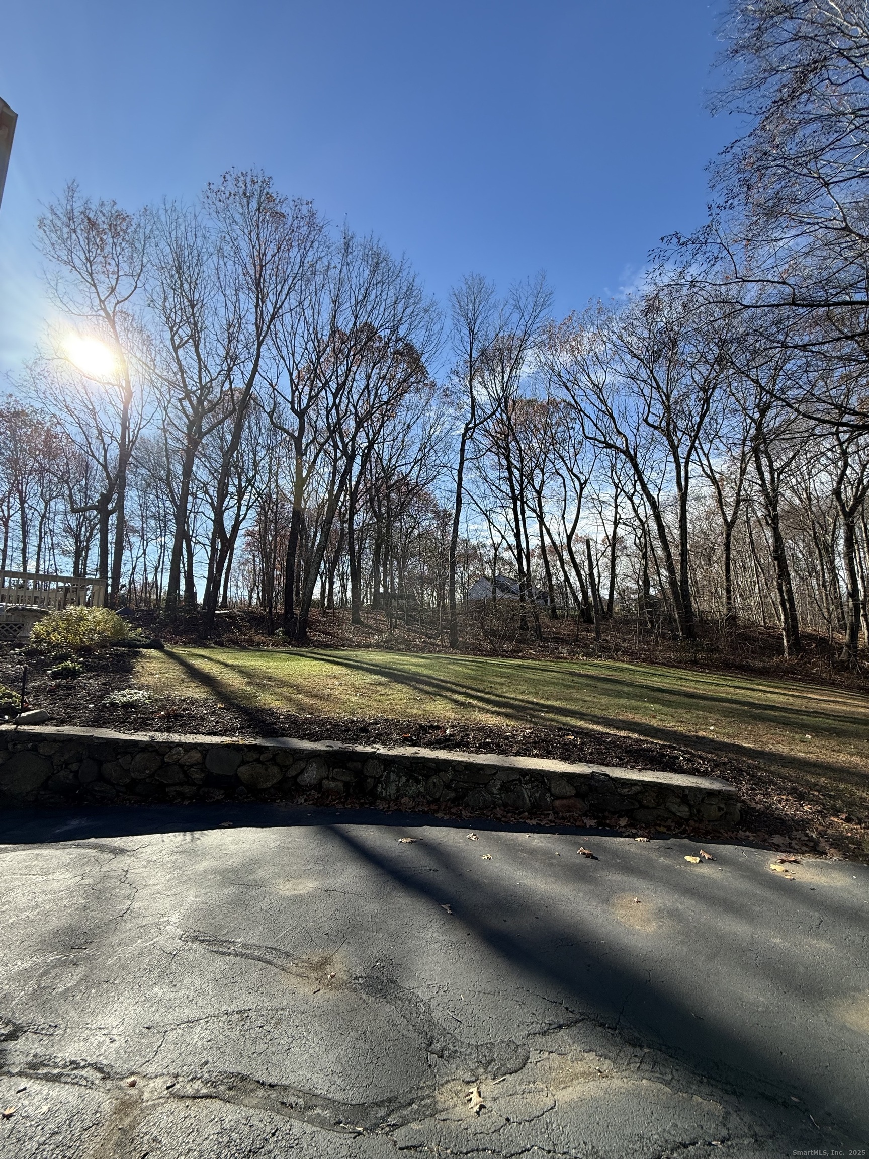 19 Wagon Trail Wolcott, CT 06716 - Photo 5 of 31 a view of a yard