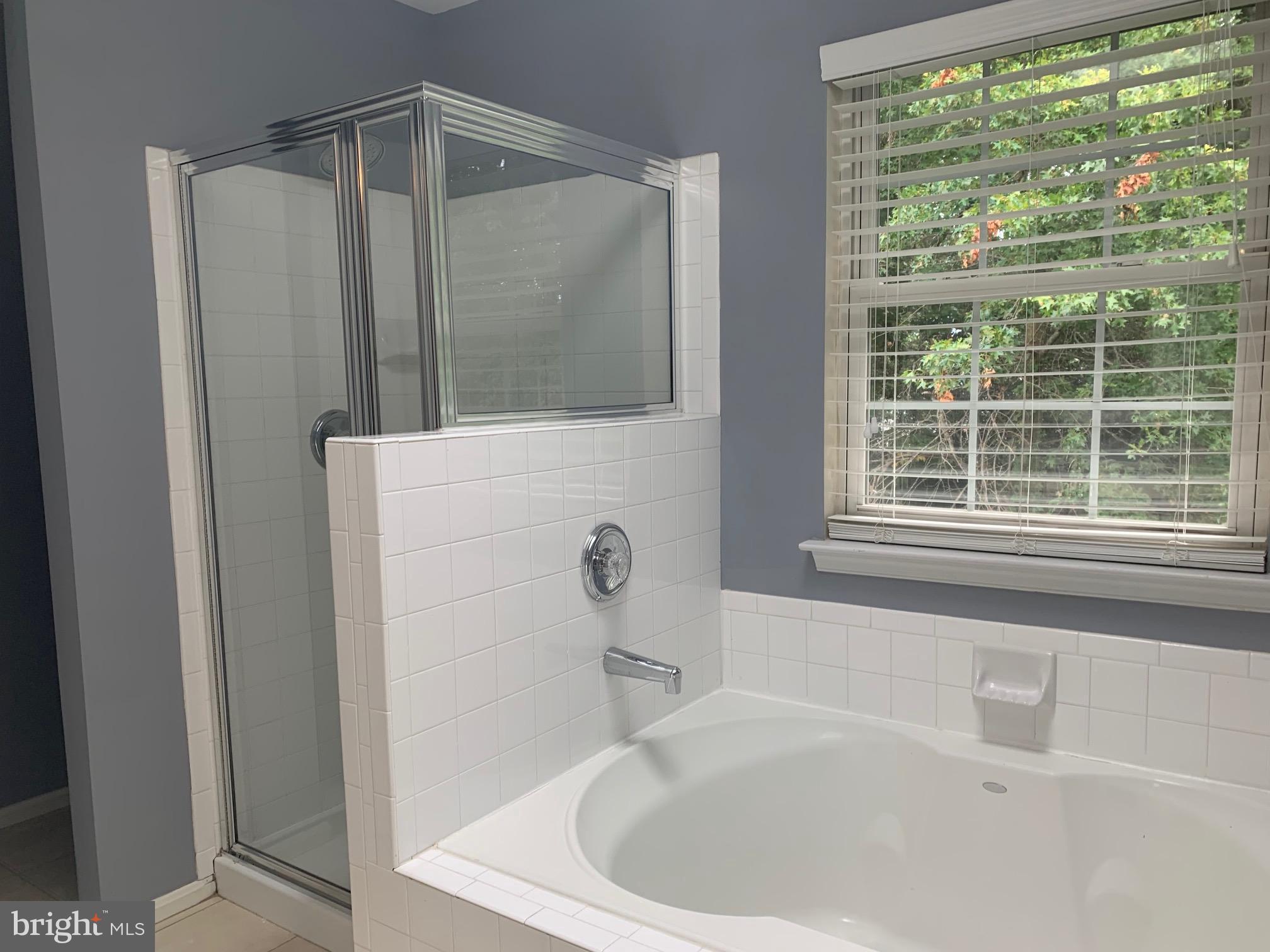 210 Tilden Way Edgewater, MD 21037 - Photo 17 of 34 Master bath separate shower and full soaking tub