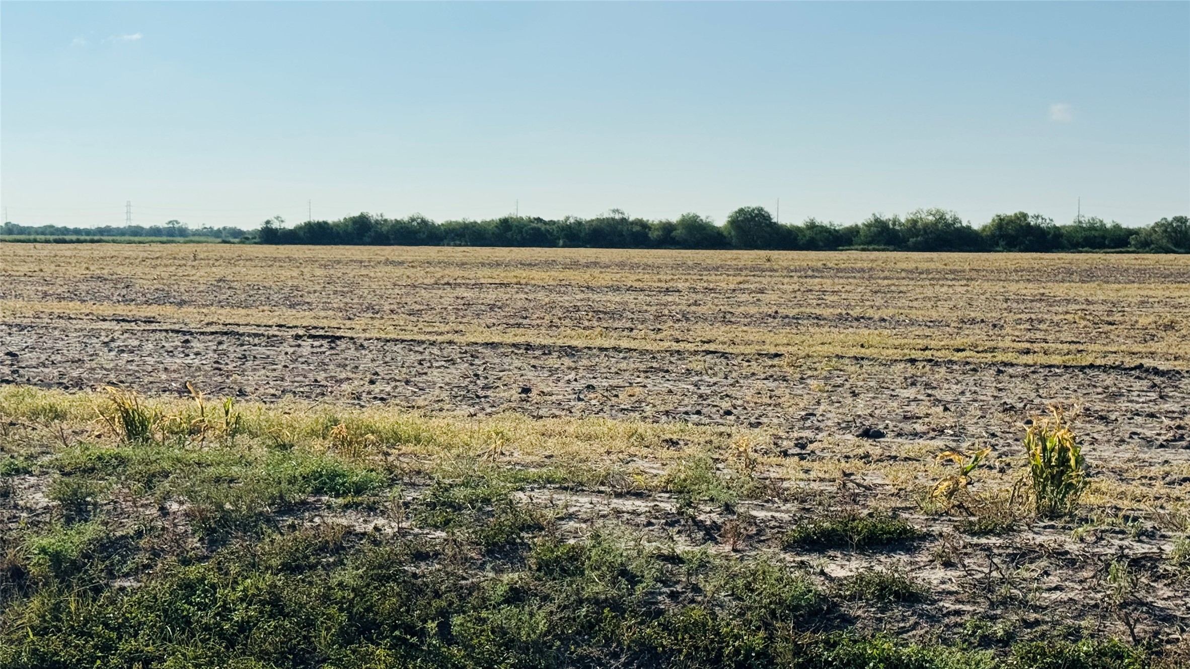 Lot 8 County Road 798 Sinton, TX 78387 - Photo 12 of 15 a view of lake view