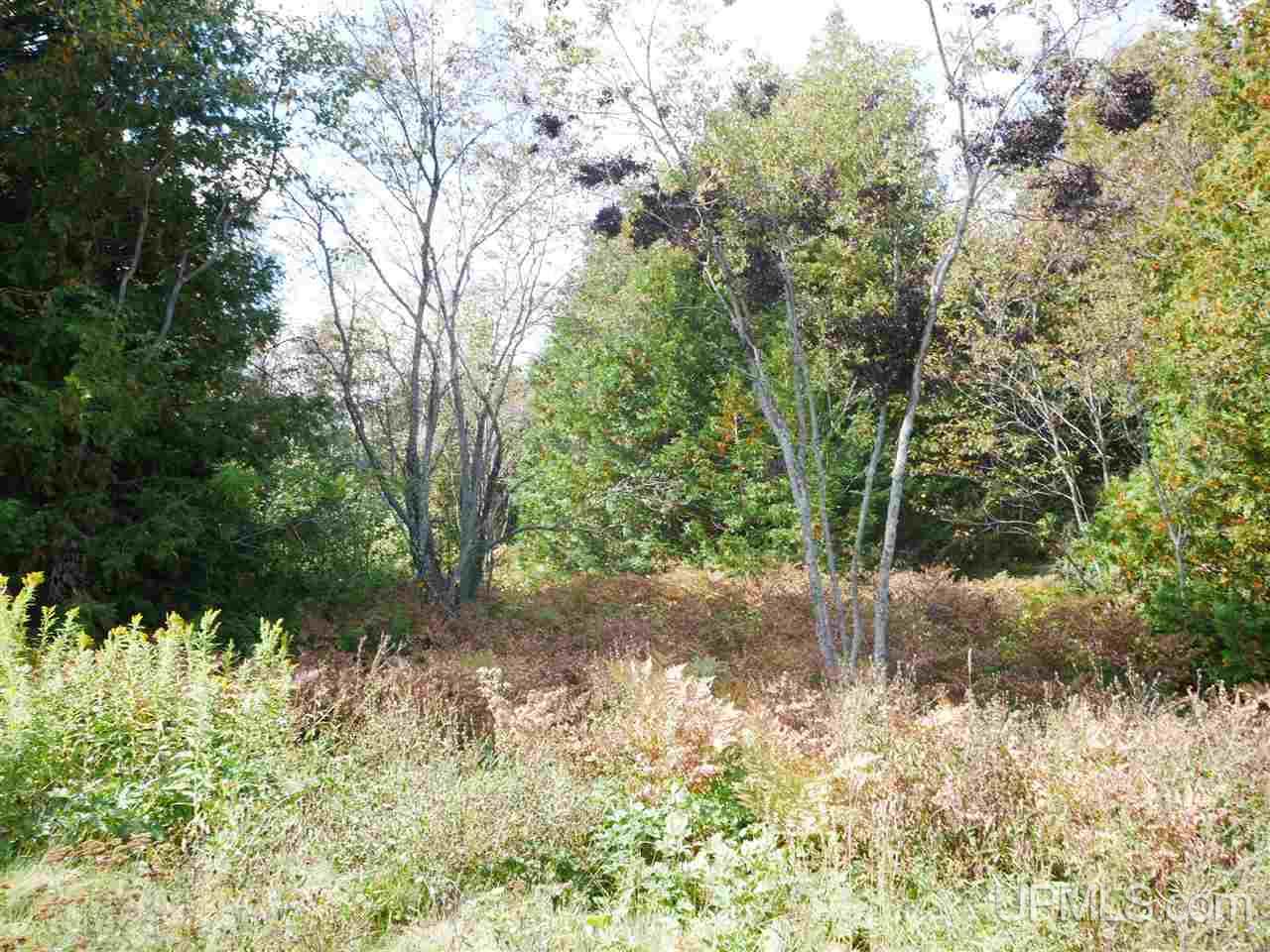 Tbd Gratiot River Road Allouez, MI 49805 - Photo 2 of 7