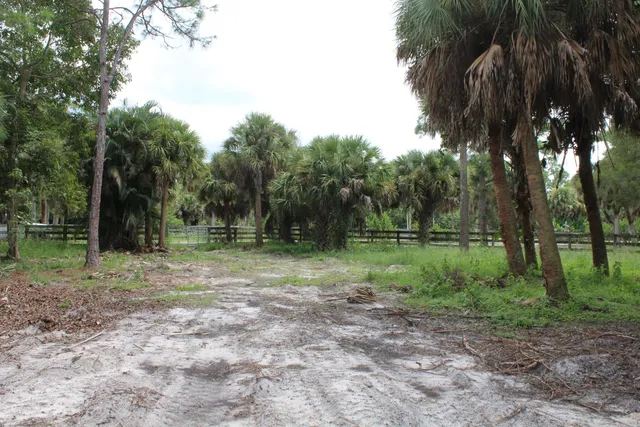 a view of outdoor space with green space