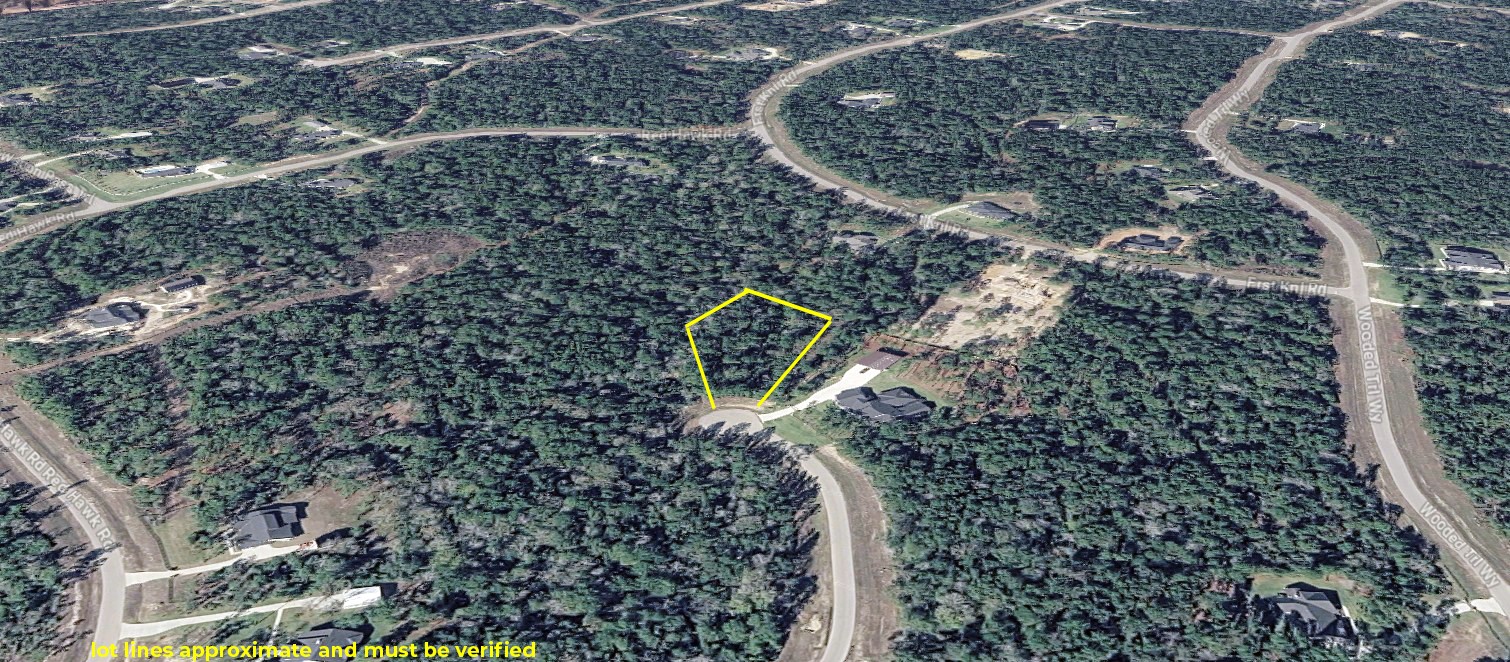 10550 Link Tree Lane Willis, TX 77378 - Photo 4 of 18