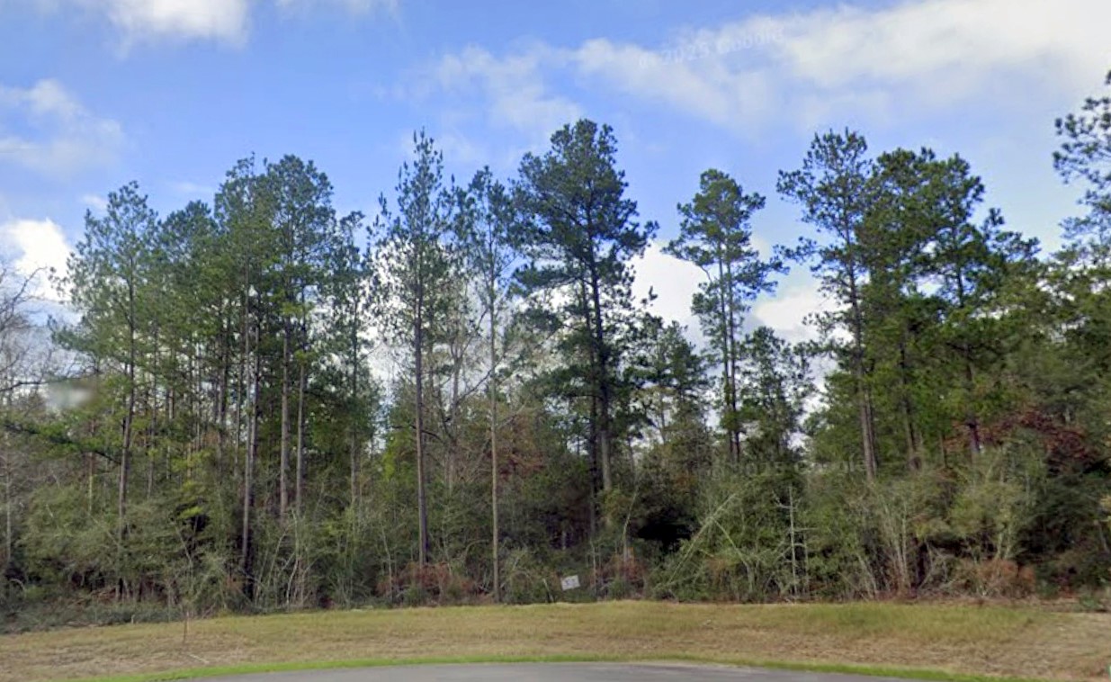 10550 Link Tree Lane Willis, TX 77378 - Photo 5 of 18