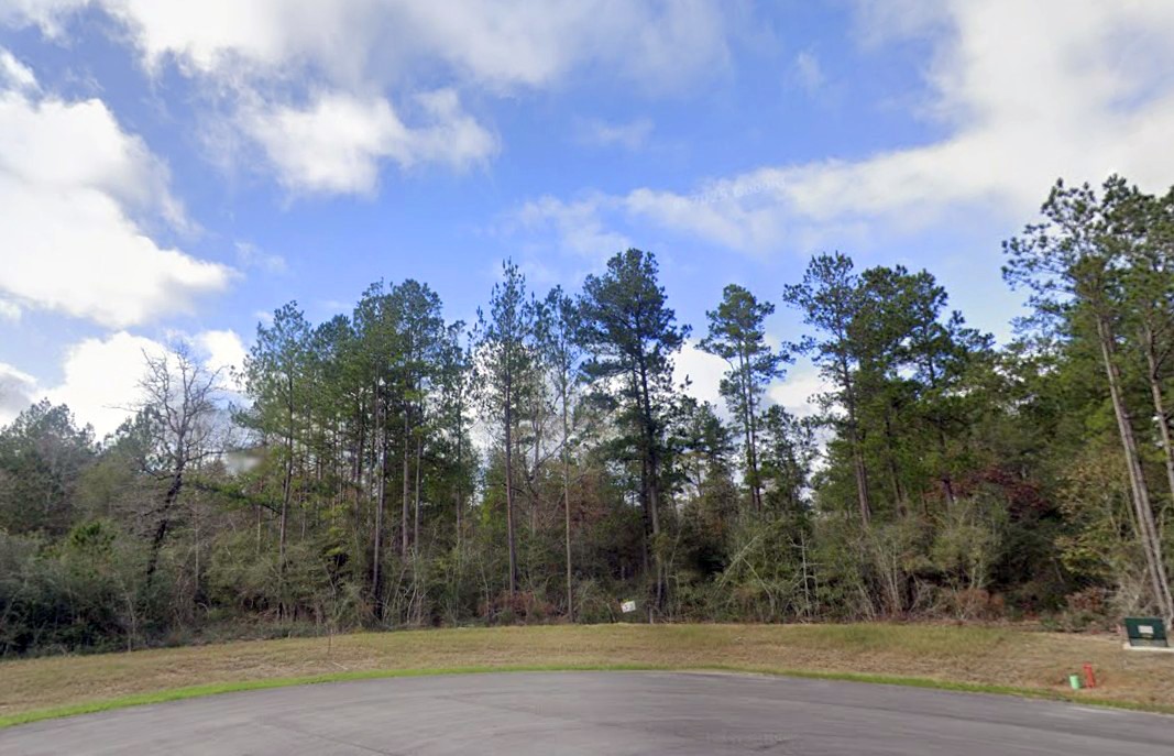 10550 Link Tree Lane Willis, TX 77378 - Photo 6 of 18