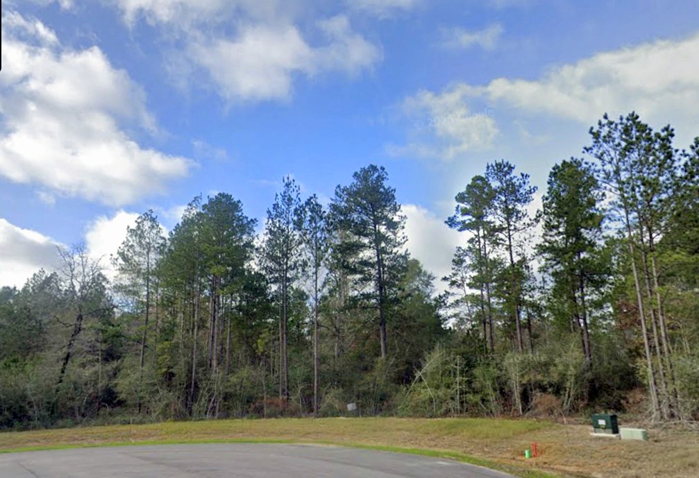 10550 Link Tree Lane Willis, TX 77378 - Photo 7 of 18